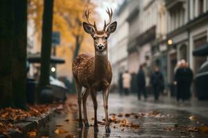 ein Hirsch ist Stehen im das Mitte von ein Stadt Straße generativ ai foto
