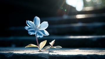ein Single Blau Blume sitzt auf das Schritte von ein Gebäude generativ ai foto