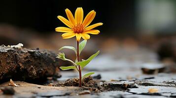 ein Single Gelb Blume ist wachsend aus von ein Riss im das Boden generativ ai foto