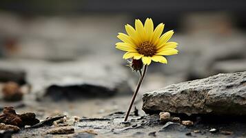 ein Single Gelb Blume ist wachsend aus von ein Riss im das Boden generativ ai foto