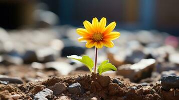 ein Single Gelb Blume ist wachsend aus von das Boden generativ ai foto
