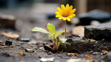 ein Single Gelb Blume ist wachsend aus von das Boden generativ ai foto