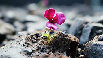 ein klein Rosa Blume ist wachsend aus von das Boden generativ ai foto