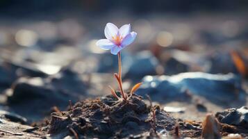 ein klein lila Blume ist wachsend aus von das Boden generativ ai foto