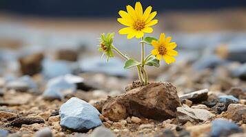 ein klein Gelb Blume ist wachsend aus von ein Felsen generativ ai foto