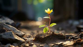 ein klein Gelb Blume ist wachsend aus von das Boden generativ ai foto