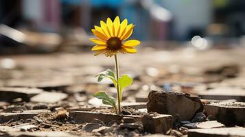 ein Gelb Sonnenblume ist wachsend aus von ein Riss im das Boden generativ ai foto
