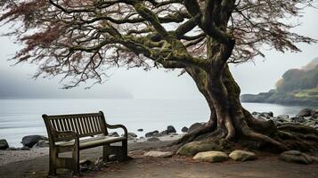 ein Bank unter ein Baum Nächster zu ein Körper von Wasser generativ ai foto