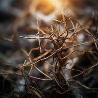 ein schließen oben von ein tot Baum mit das Sonne im das Hintergrund generativ ai foto