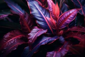 ein schließen oben von ein Pflanze mit lila und rot Blätter generativ ai foto