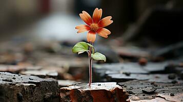 ein Blume wachsend aus von ein Riss im das Boden generativ ai foto