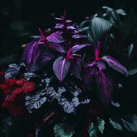 ein Pflanze mit lila und rot Blätter im das dunkel generativ ai foto