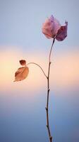 ein Single Rosa Blume auf ein Ast mit ein Blau Himmel im das Hintergrund generativ ai foto