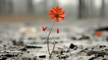 ein Single rot Blume im das Mitte von ein Feld generativ ai foto