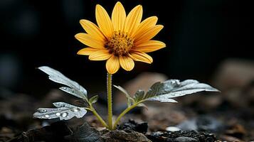 ein Single Gelb Blume wachsend aus von das Boden generativ ai foto