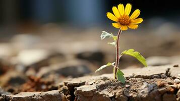 ein Single Gelb Blume ist wachsend aus von ein Riss im das Boden generativ ai foto