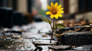 ein Single Gelb Blume ist wachsend aus von ein Riss im das Pflaster generativ ai foto