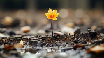 ein Single Gelb Blume ist Stehen aus im das Schlamm generativ ai foto