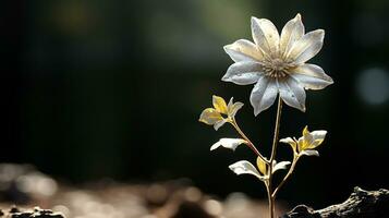 ein Single Weiß Blume ist wachsend aus von das Boden generativ ai foto