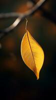 ein Single Gelb Blatt hängend von ein Baum Ast generativ ai foto