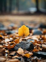 ein Single Gelb Blatt sitzt auf oben von ein Felsen umgeben durch gefallen Blätter generativ ai foto