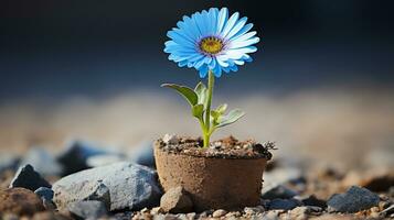 ein klein Blau Blume ist wachsend im das Schmutz generativ ai foto