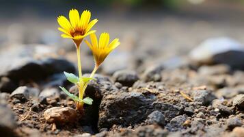 ein klein Gelb Blume ist wachsend aus von das Boden generativ ai foto