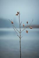 ein Baum Ast mit Blätter auf es durch ein Körper von Wasser generativ ai foto