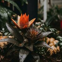 ein Orange Blume ist im das Mitte von ein Garten generativ ai foto