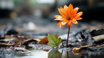 ein Orange Blume ist Stehen im ein Pfütze von Wasser generativ ai foto