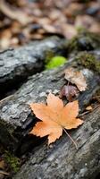 ein Orange Blatt sitzt auf oben von ein Log generativ ai foto