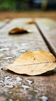 Blätter auf ein hölzern Tabelle im das Regen generativ ai foto