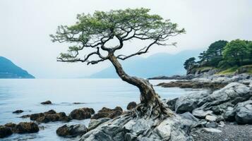 einsam Baum auf Felsen durch das Meer im Norwegen generativ ai foto