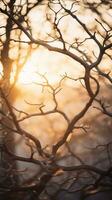 das Sonne ist leuchtenden durch das Geäst von ein Baum generativ ai foto