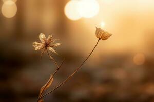 zwei tot Blumen im Vorderseite von das Sonne generativ ai foto