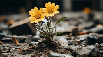 zwei Gelb Blumen wachsend aus von das Boden generativ ai foto