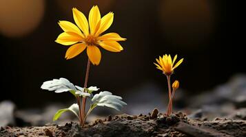 zwei Gelb Blumen wachsend aus von das Boden generativ ai foto