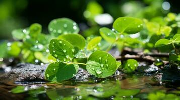 Wasser Tröpfchen auf das Blätter von ein Grün Pflanze generativ ai foto
