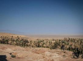 Wüstenlandschaft Blick in Garmeh Oase in der Nähe von Yazd Südiran