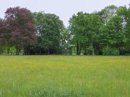 Park Sanssouci in Potsdam foto