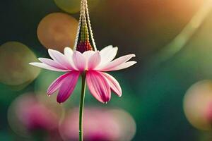 ein Rosa Blume mit ein Grün Stengel im das Sonne. KI-generiert foto