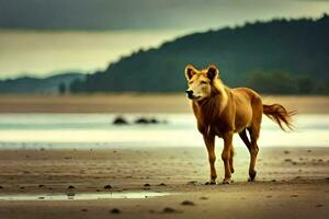 ein Pferd Gehen auf das Strand. KI-generiert foto