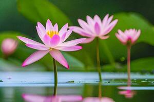 Rosa Lotus Blumen im das Wasser. KI-generiert foto
