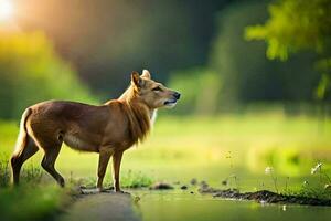 ein Hund Stehen auf das Kante von ein Teich. KI-generiert foto