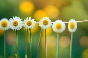 Gänseblümchen sind wachsend auf ein Draht im ein Feld. KI-generiert foto