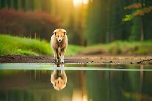 ein Hund Gehen entlang ein Fluss mit das Sonne im das Hintergrund. KI-generiert foto