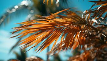 beschwingt Grün Blatt, schließen oben von ein tropisch Palme Baum im Sommer- generiert durch ai foto