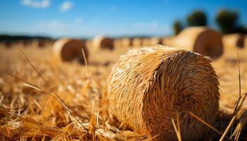 ländlich Szene gerollt oben Ballen, Heuhaufen, Weizen Natur golden Schönheit generiert durch ai foto