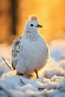 schneebedeckt Gelassenheit ein generativ ai Schneehuhn im Winter Wunderland foto