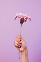 Frau Geschenk Sommer- Konzept Blumen- Rosa Hände Schönheit Bündel Liebe Natur violett Blumen foto